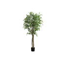 Monarch I 9549 79"H - Indoor Ficus Tree In A 8" Pot IMAGE 2