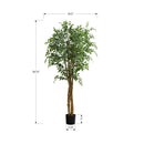 Monarch I 9549 79"H - Indoor Ficus Tree In A 8" Pot IMAGE 3