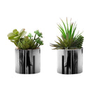 Monarch I 9550 7"H Succulent In 3" Chrome Pot IMAGE 2