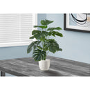 Monarch I 9551 24"H - Indoor Monstera/5" White Pot IMAGE 1