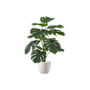 Monarch I 9551 24"H - Indoor Monstera/5" White Pot IMAGE 2
