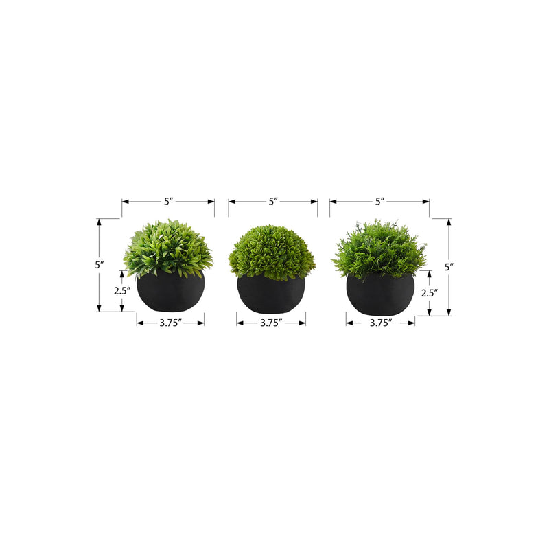 Monarch I 9552 3Pcs/5"H Grass In A 3" Black Pot IMAGE 3