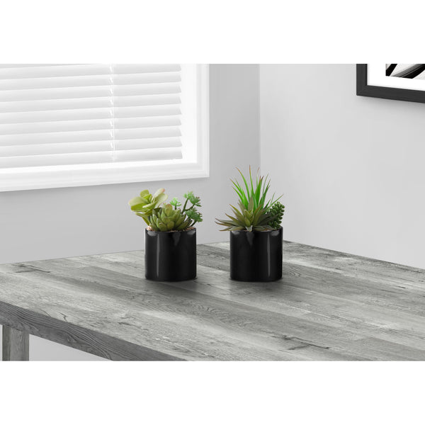 Monarch I 9554 7"H Succulent In 3" Black Pot IMAGE 1