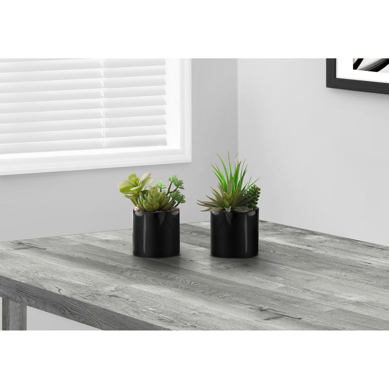 Monarch I 9554 7"H Succulent In 3" Black Pot IMAGE 1