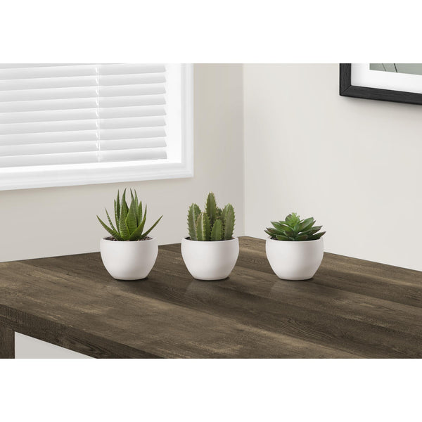 Monarch I 9555 3Pcs/6"H Succulent In A 3" White Pot IMAGE 1