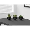 Monarch I 9556 3Pcs/6"H Succulent In A 3" Black Pot IMAGE 1