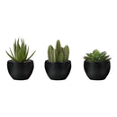 Monarch I 9556 3Pcs/6"H Succulent In A 3" Black Pot IMAGE 2