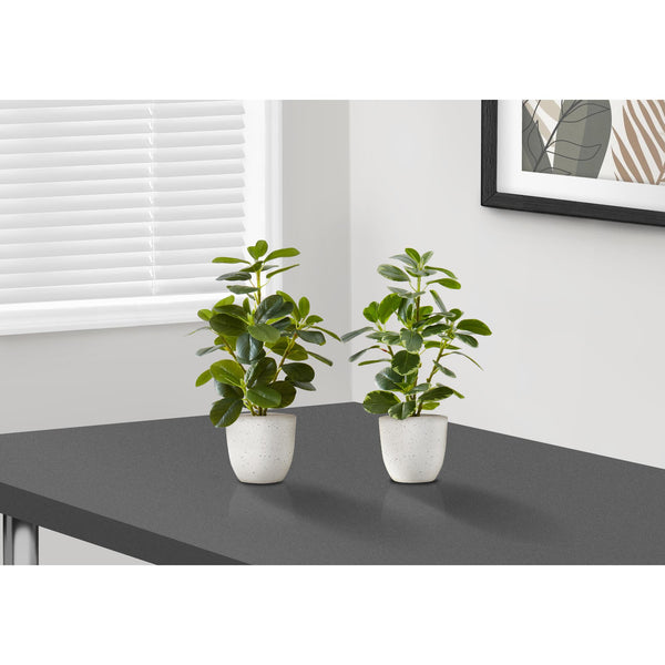 Monarch I 9557 14"H Ficus Elastica/4" Pot IMAGE 1