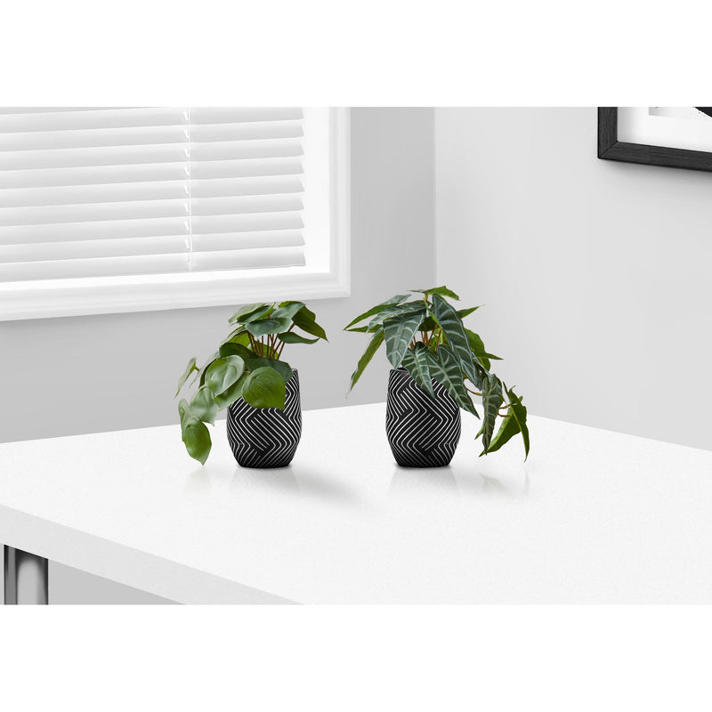 Monarch I 9559 8"H Alocasia/5" Black Pot IMAGE 1