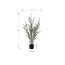 Monarch I 9561 44"H - Indoor Eucalyptus In A 5" Pot IMAGE 6