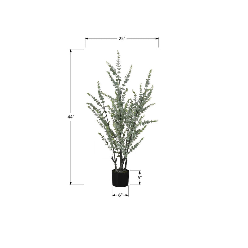 Monarch I 9561 44"H - Indoor Eucalyptus In A 5" Pot IMAGE 6