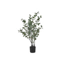 Monarch I 9562 35"H - Indoor Eucalyptus In A 5" Pot IMAGE 2