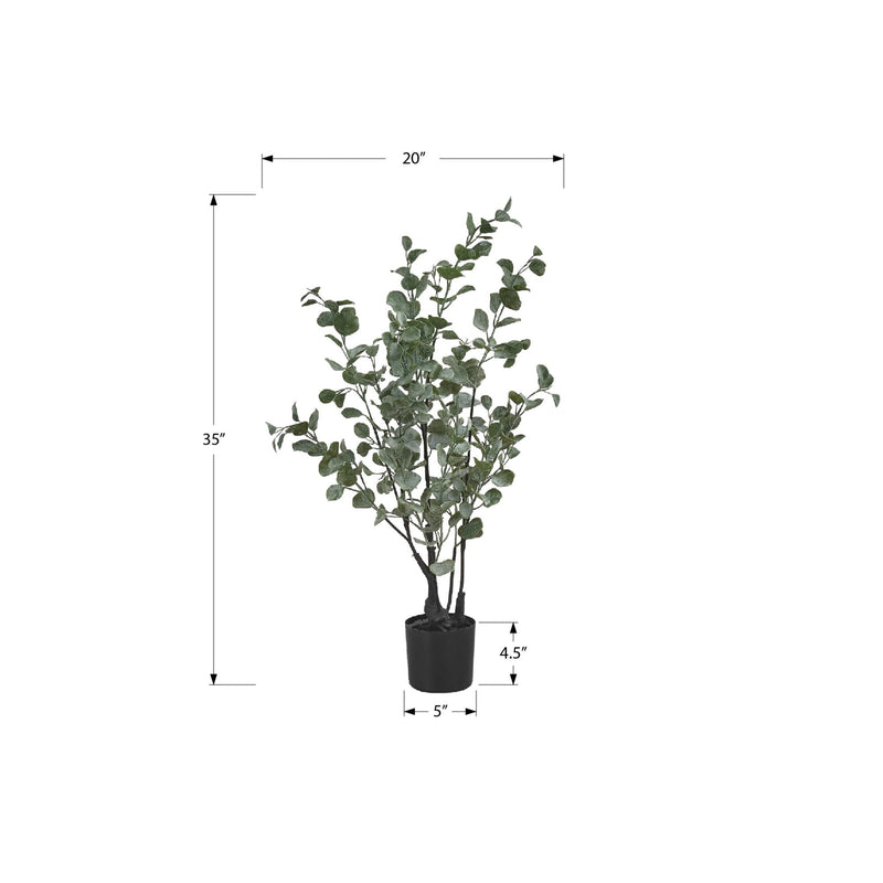 Monarch I 9562 35"H - Indoor Eucalyptus In A 5" Pot IMAGE 6