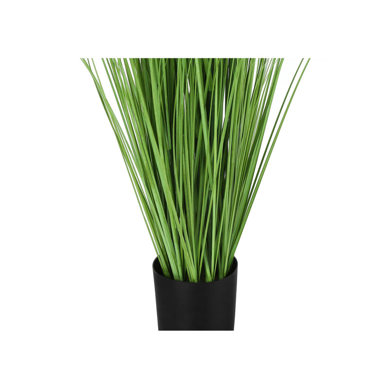 Monarch I 9565 47"H - Indoor Grass In A 5" Pot IMAGE 3
