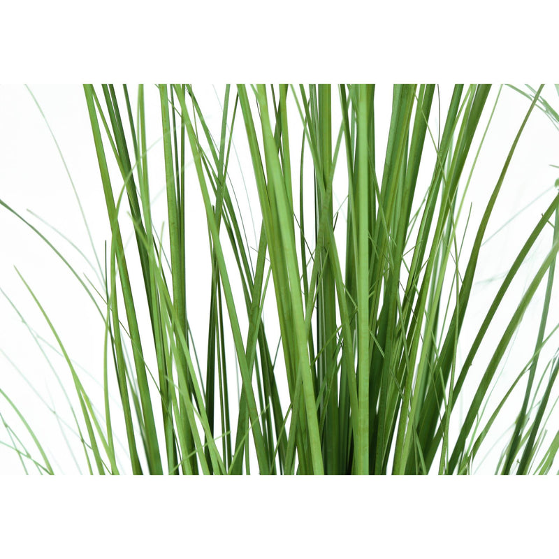Monarch I 9565 47"H - Indoor Grass In A 5" Pot IMAGE 4