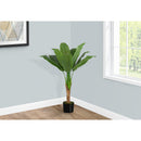 Monarch I 9567 43"H - Indoor Banana Tree In A 5" Pot IMAGE 1