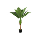Monarch I 9567 43"H - Indoor Banana Tree In A 5" Pot IMAGE 2