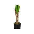 Monarch I 9567 43"H - Indoor Banana Tree In A 5" Pot IMAGE 3