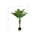 Monarch I 9567 43"H - Indoor Banana Tree In A 5" Pot IMAGE 6