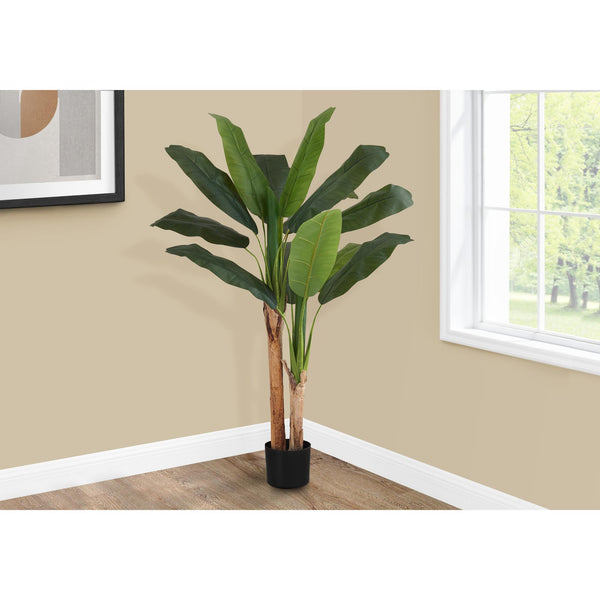 Monarch I 9568 55"H - Indoor Banana Tree In A 6" Pot IMAGE 1
