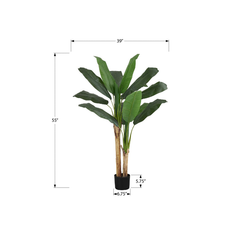 Monarch I 9568 55"H - Indoor Banana Tree In A 6" Pot IMAGE 6