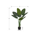 Monarch I 9569 44"H - Indoor Bird Of Paradise 5" Pot IMAGE 5