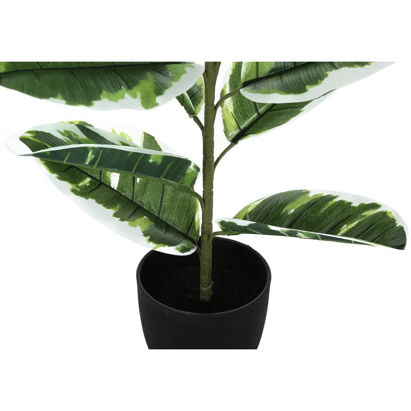 Monarch I 9572 27"H - Indoor Rubber In A 5" Pot IMAGE 3