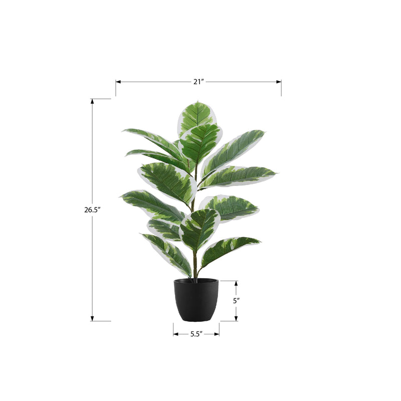 Monarch I 9572 27"H - Indoor Rubber In A 5" Pot IMAGE 5