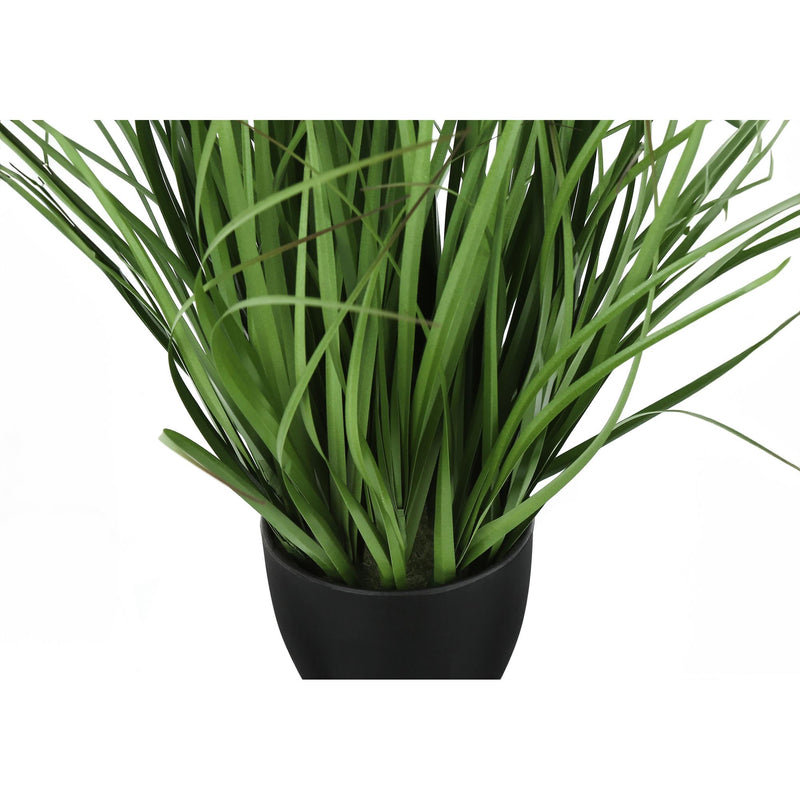 Monarch I 9575 23"H - Indoor Grass In A 4" Black Pot IMAGE 3
