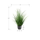 Monarch I 9575 23"H - Indoor Grass In A 4" Black Pot IMAGE 6