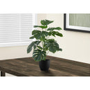 Monarch I 9576 24"H - Indoor Monstera/5" Black Pot IMAGE 1