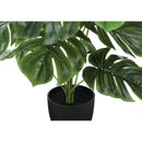 Monarch I 9576 24"H - Indoor Monstera/5" Black Pot IMAGE 3
