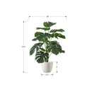 Monarch I 9576 24"H - Indoor Monstera/5" Black Pot IMAGE 6