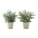 Monarch I 9581 13"H Eucalyptus/ Grass/ 4" Pot IMAGE 2