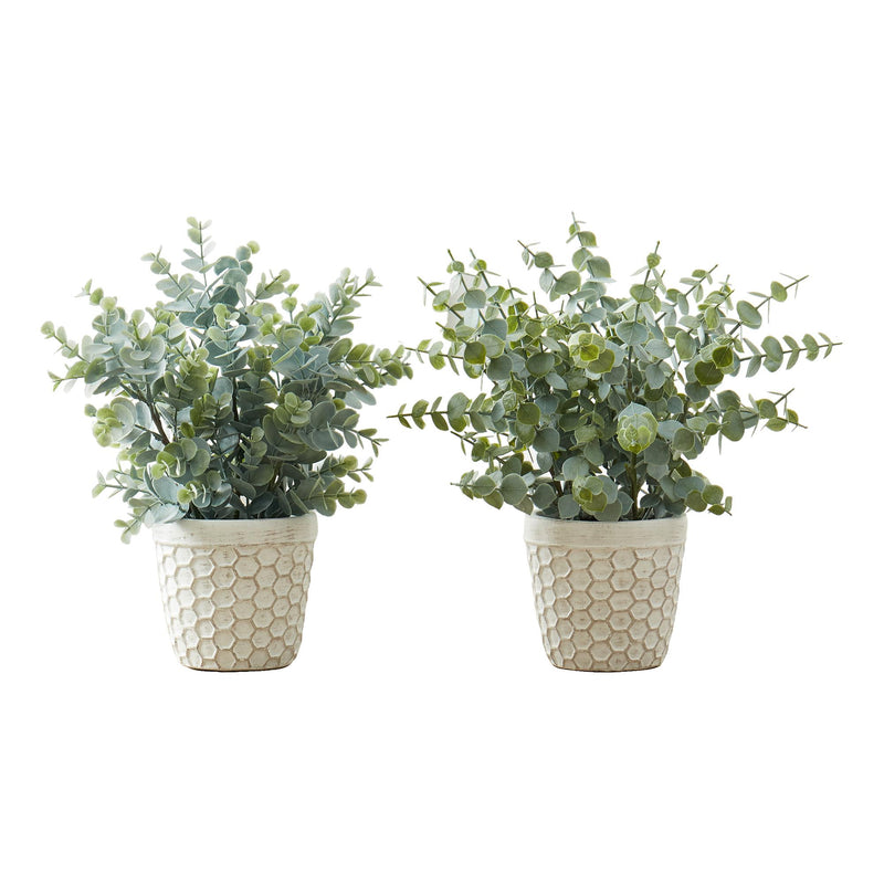Monarch I 9581 13"H Eucalyptus/ Grass/ 4" Pot IMAGE 2