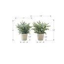 Monarch I 9581 13"H Eucalyptus/ Grass/ 4" Pot IMAGE 5