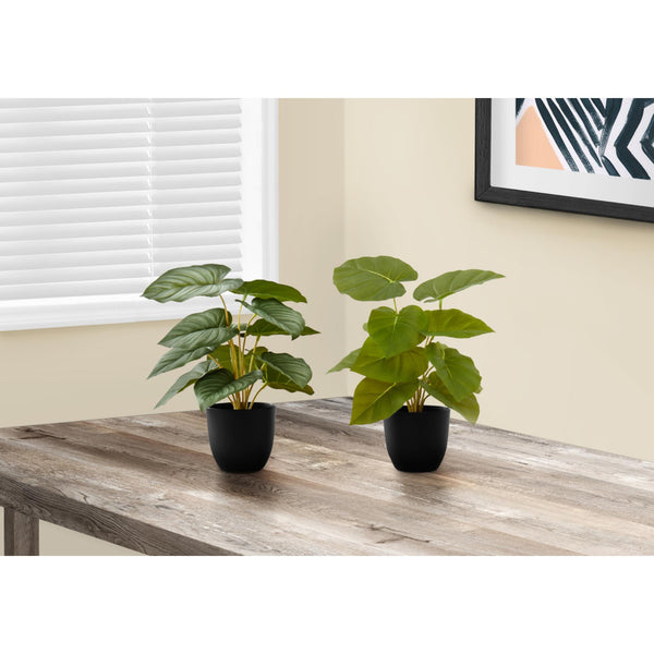 Monarch I 9583 13"H Epipremnum/4" Pot IMAGE 1