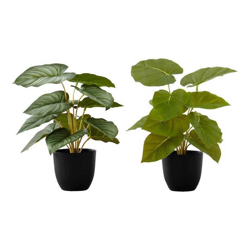 Monarch I 9583 13"H Epipremnum/4" Pot IMAGE 2