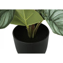 Monarch I 9583 13"H Epipremnum/4" Pot IMAGE 3