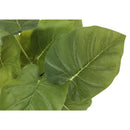 Monarch I 9583 13"H Epipremnum/4" Pot IMAGE 5