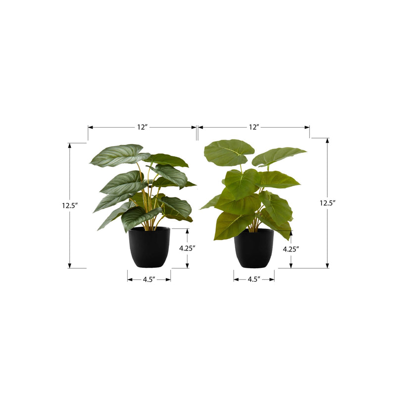 Monarch I 9583 13"H Epipremnum/4" Pot IMAGE 6