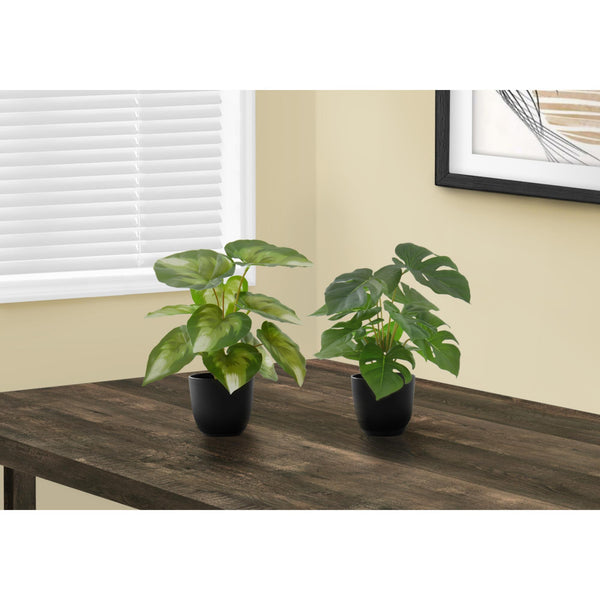 Monarch I 9584 13"H Monstera/Calathea/ 4" Pot IMAGE 1