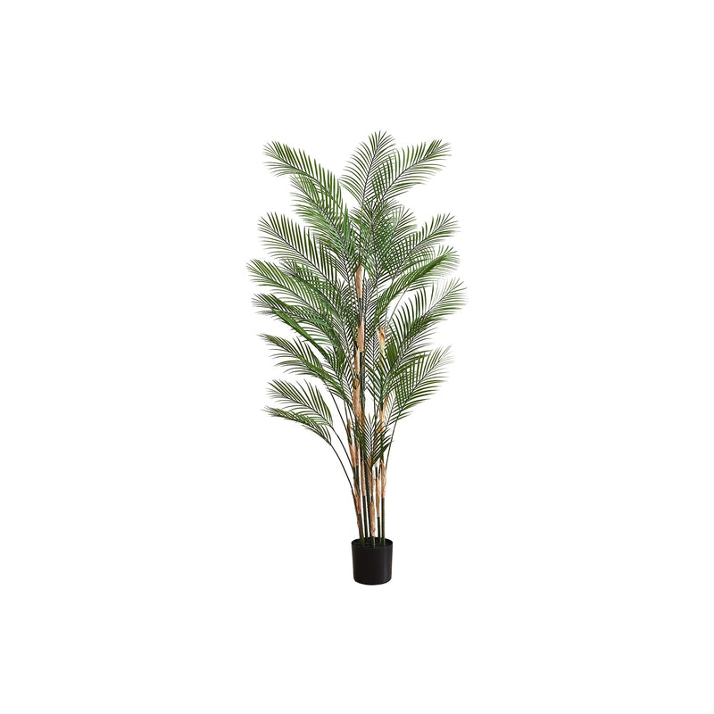 Monarch I 9590 83"H - Indoor Palm Tree In A 8" Pot IMAGE 2