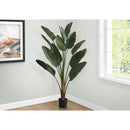 Monarch I 9591 83"H - Indoor Bird Of Paradise In A 8" Pot IMAGE 1
