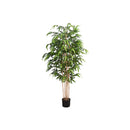 Monarch I 9592 83"H - Indoor Bamboo Tree In A 8" Pot IMAGE 2