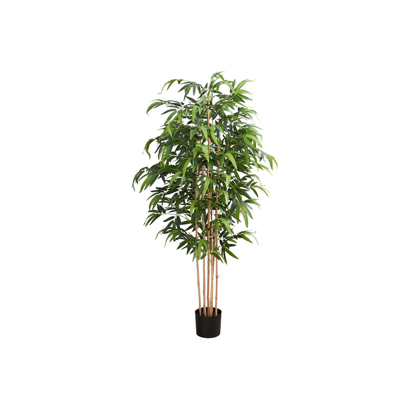 Monarch I 9592 83"H - Indoor Bamboo Tree In A 8" Pot IMAGE 2