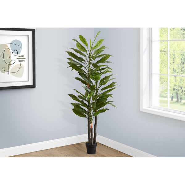 Monarch I 9595 83"H - Indoor Dracaena In A 8" Pot IMAGE 1