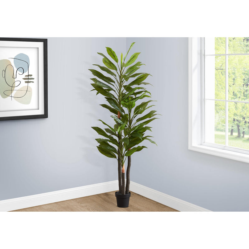 Monarch I 9595 83"H - Indoor Dracaena In A 8" Pot IMAGE 1