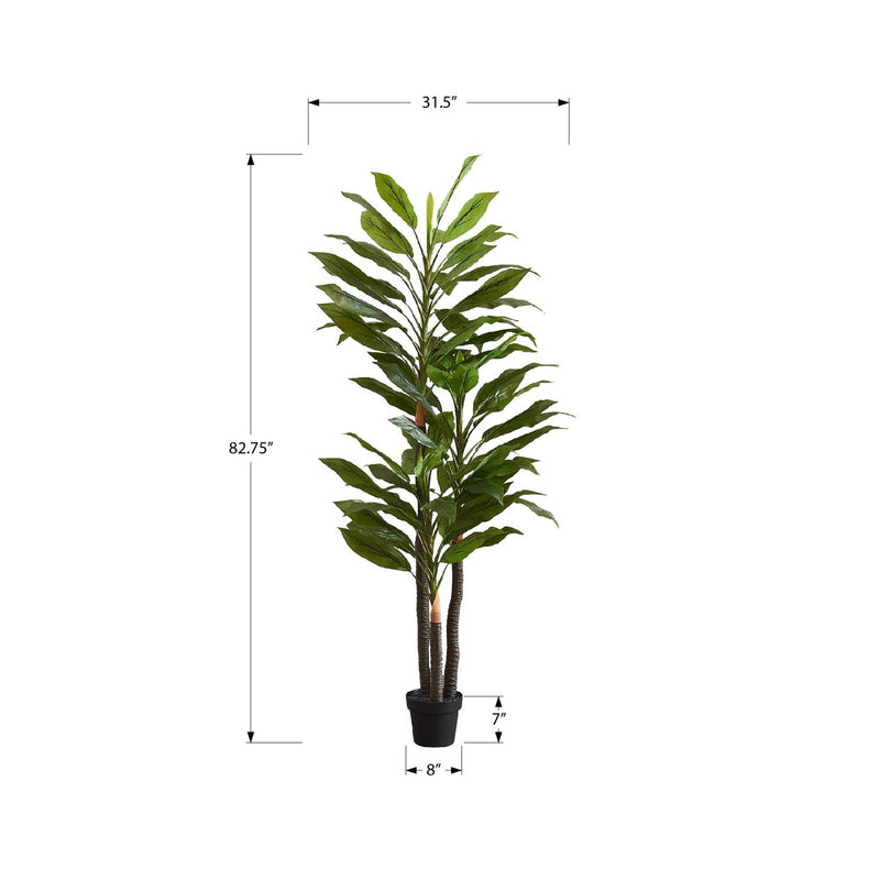 Monarch I 9595 83"H - Indoor Dracaena In A 8" Pot IMAGE 3