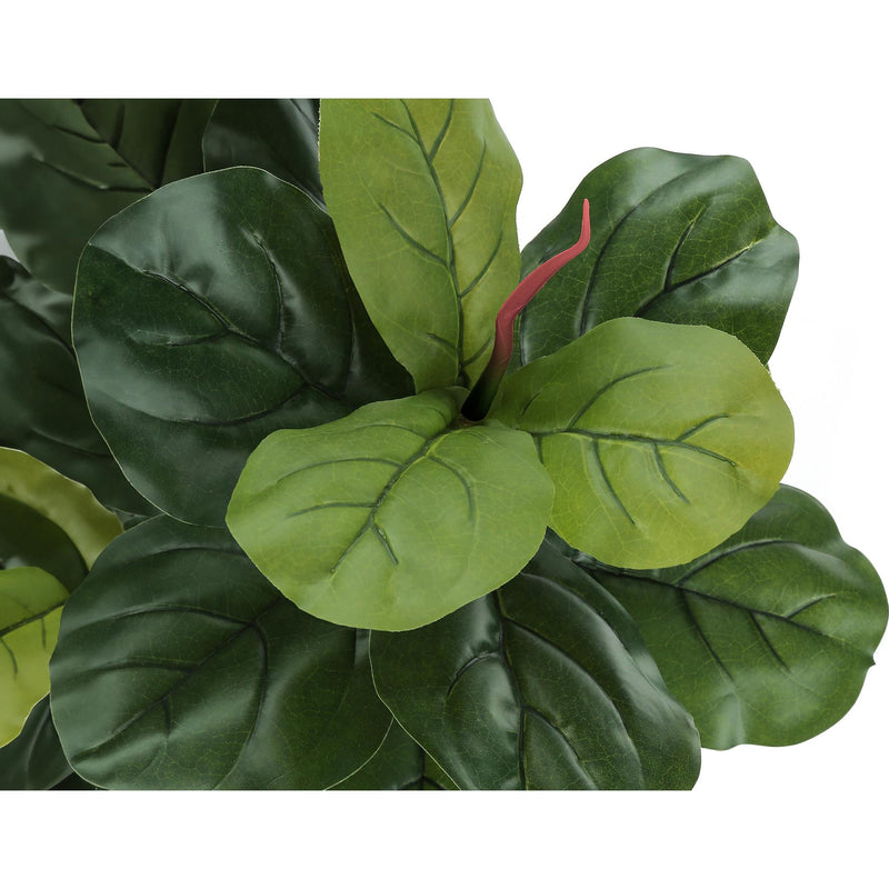  Monarch I 9541 Indoor Fiddle Tree IMAGE 3